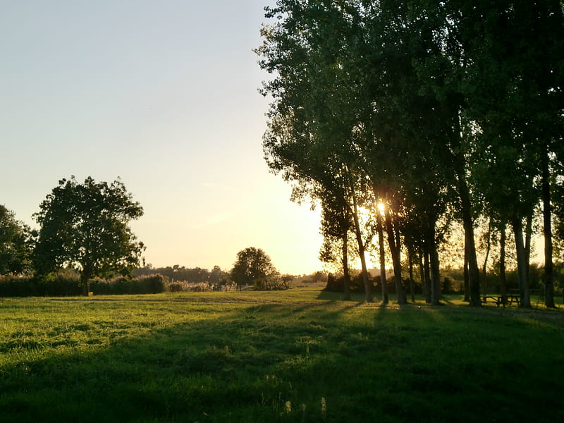HD wallpaper sunny evening in france countryside warm sun france summer evening sunset light